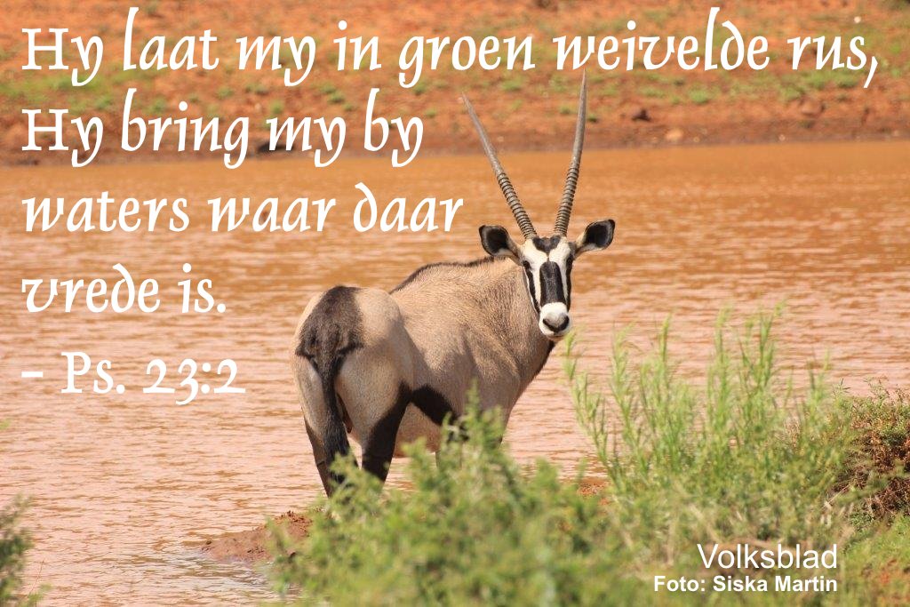onbekendste1's tweet photo. GedagteVirVandag
@Netwerk24 https://t.co/y5OMxFTQ7k
