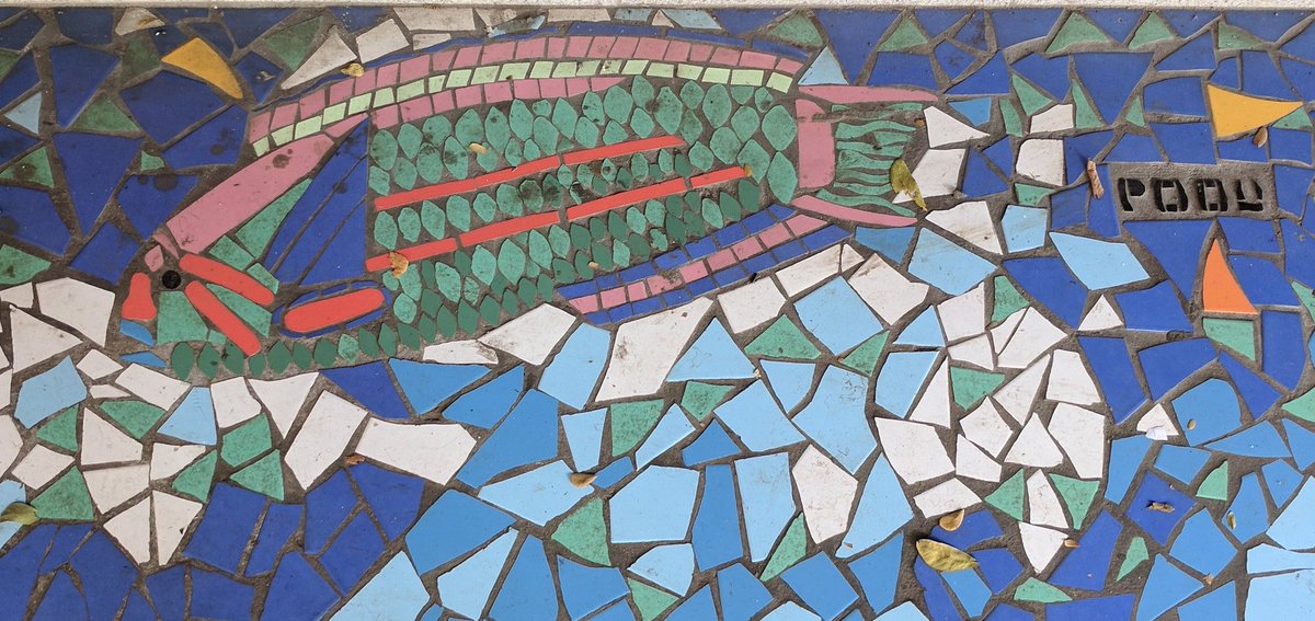 robert_p_streit's tweet photo. Hey @thehemi65 ! Found your fish mosaics in downtown Papeete! #ipfc10 #IPFC17 https://t.co/zeLkXJ2wZ8