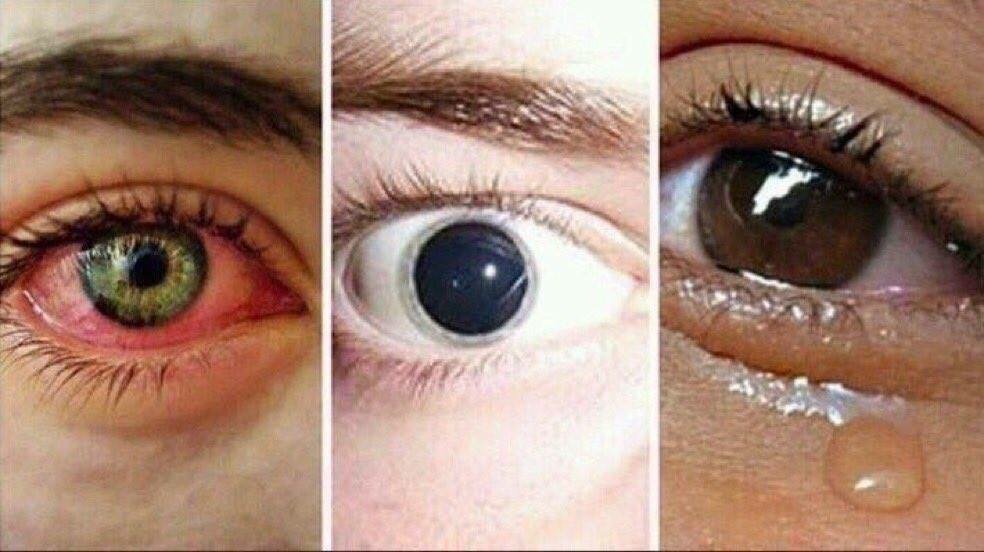 Alpha_Tips's tweet photo. Marihuana - Cocaína - Cuando cantas y no se gira ningún coach #LaVoz3 https://t.co/XH2ZHqrvDv
