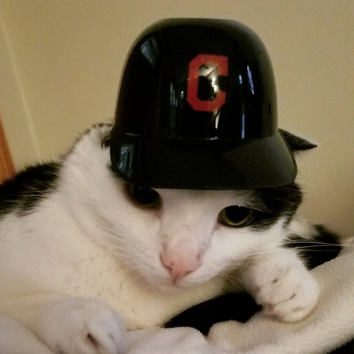 DjMiloKat's tweet photo. Nooooo not #edwin! paws crossed for a speedy recovery #windians #Indians #RallyTogether https://t.co/ctP4e3W2bt