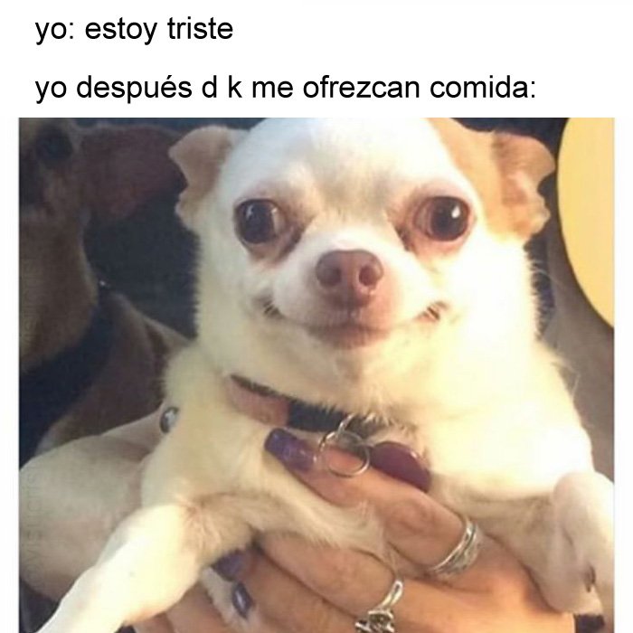 yisucrist's tweet photo. mi dia a dia https://t.co/HmOPaMz4IX