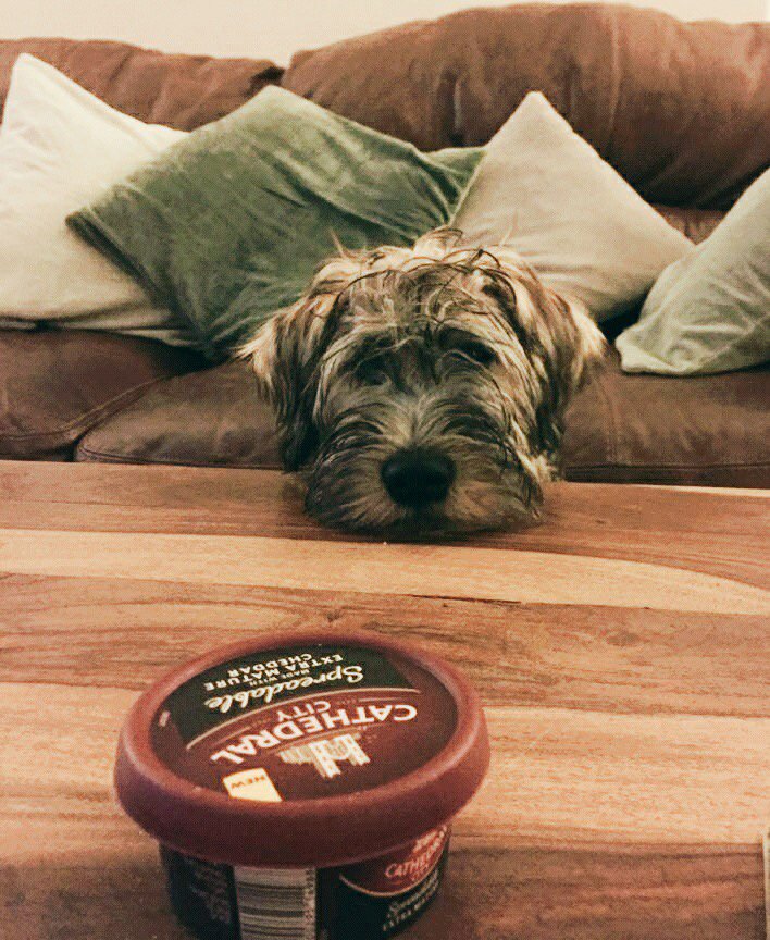 streetsypie's tweet photo. @CathedralCity #cheesedoff https://t.co/UdShXsJHt0