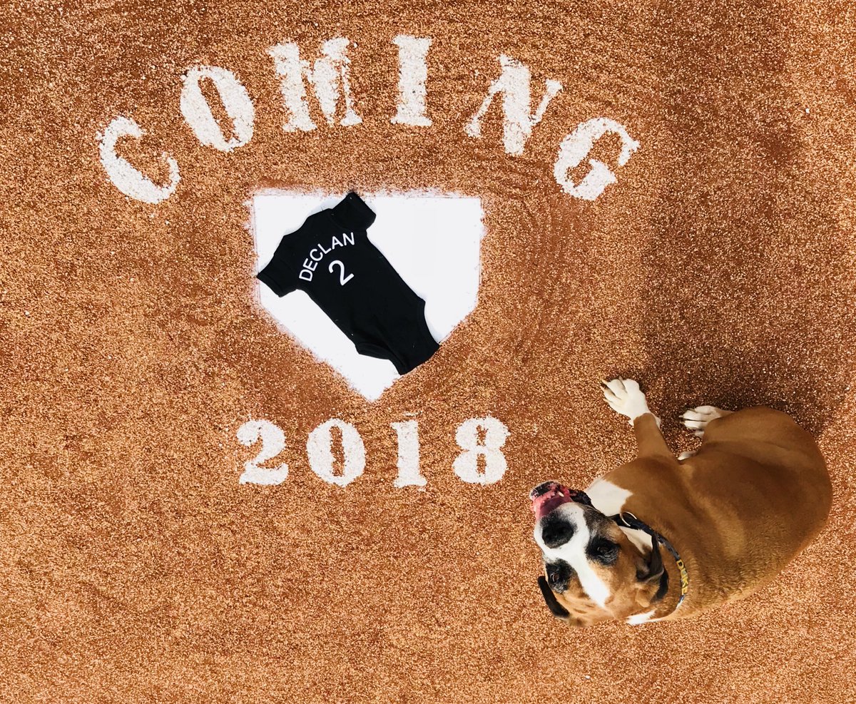 EverydayAkron's tweet photo. I’m happy to announce I will be a big brother to a tiny human in 2018!! Can’t wait to show him Akron!! #summitpeeks https://t.co/3XfxziZLFY