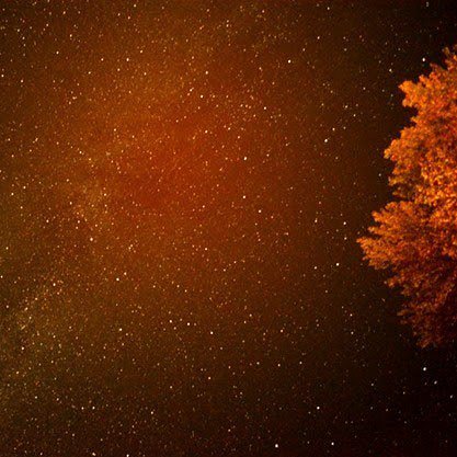 curiouswritr's tweet photo. Autumn Sky

#naturephotography #nightsky #autumn #fall #staycurious https://t.co/6ci1aYOVWr https://t.co/EoD38wIUgc