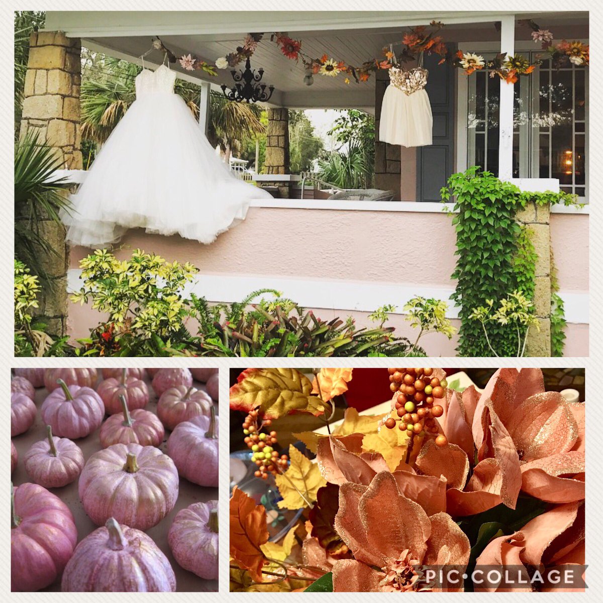 GenesisShop321's tweet photo. We are totally FALL-ing in love w/ all of the new, beautiful items in the store 💕🍁🌾🌸🌻👗👡👜🕶💕 #genesisboutique321 #belowdeck #afterdeckpodcast https://t.co/Tv49ib4MbH