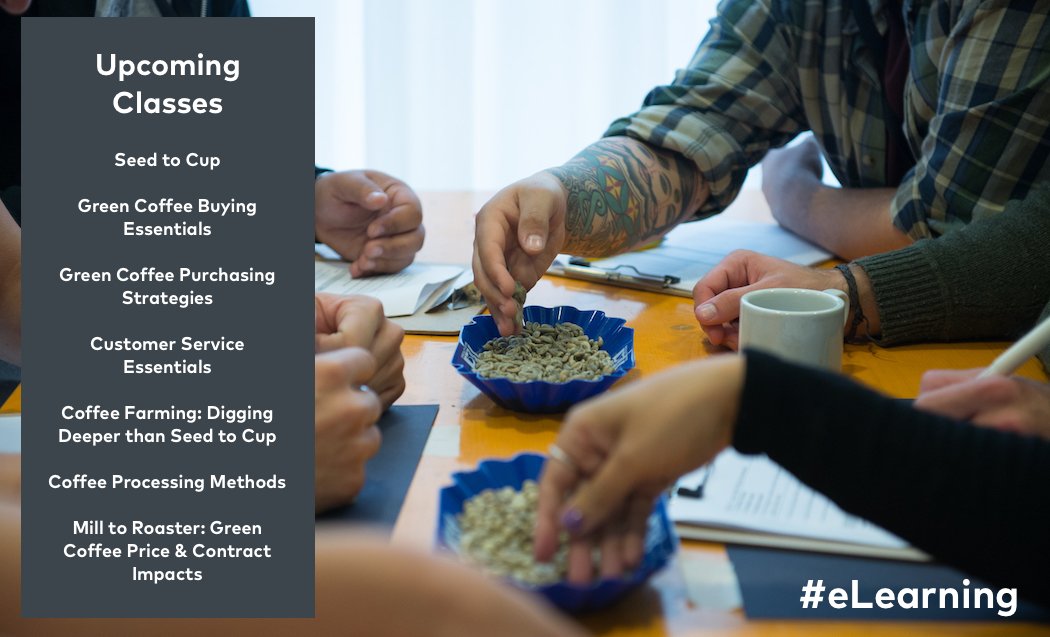 Specialty Coffee Association tweet media