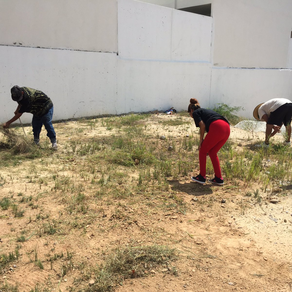 LauraIbarraP's tweet photo. Escuela limpia JdN Ecoterra ♻️🍃🌿🗑@dalilacs4 @jpauletm #soyz75 https://t.co/D0KXeMboIo