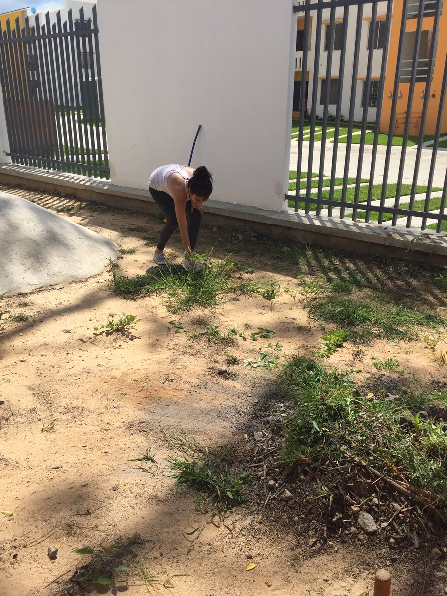 LauraIbarraP's tweet photo. Escuela limpia JdN Ecoterra ♻️🍃🌿🗑@dalilacs4 @jpauletm #soyz75 https://t.co/D0KXeMboIo