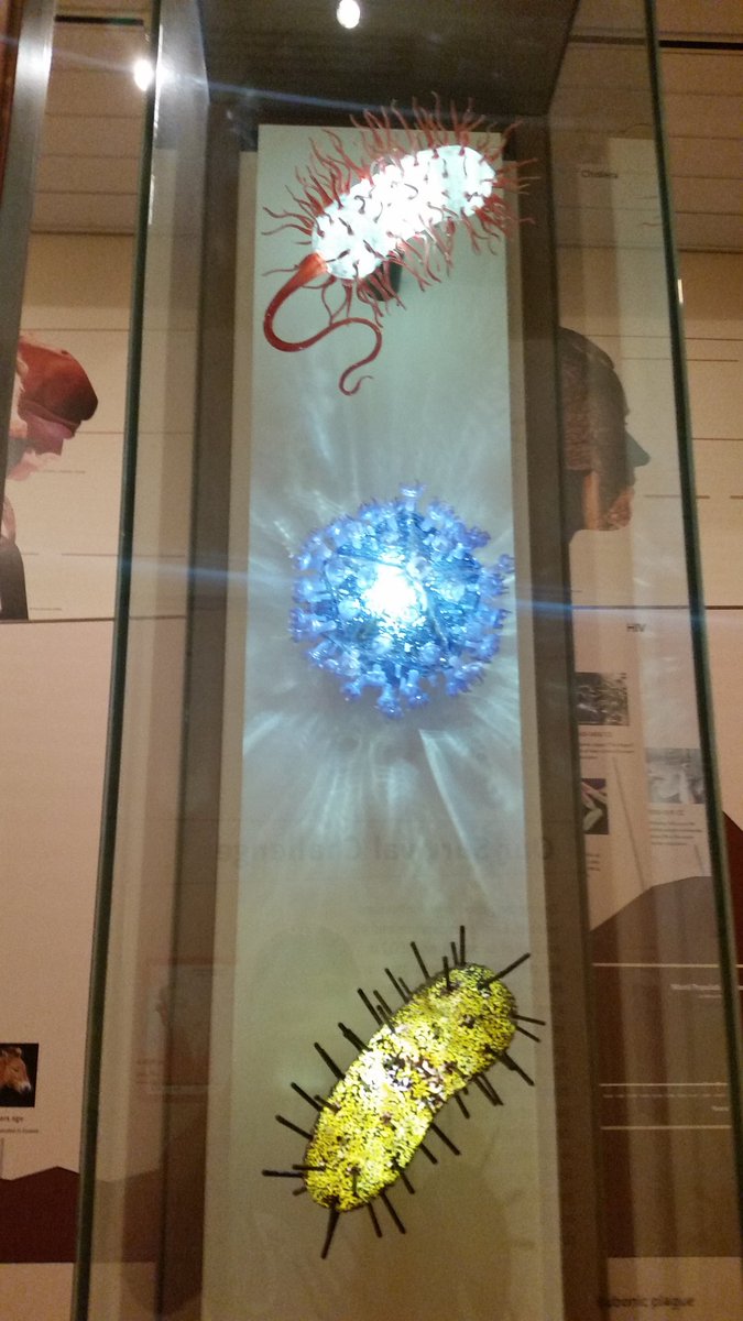 Mr. Stewart tweet media