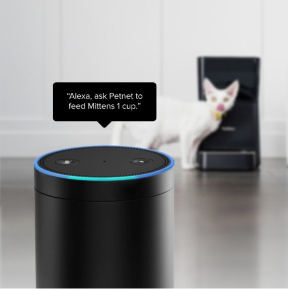 Petnetio's tweet photo. #AlexaPetWeek You can control the SmartFeeder with your voice with Alexa! Learn what other skills Alexa has here! https://t.co/hzNCP077OB https://t.co/UmdMDkrzrF