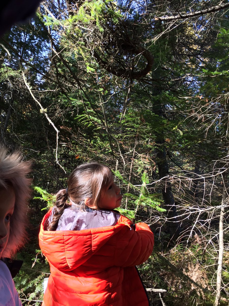 clclyne's tweet photo. Great day at Mine Centre School RRDSB, students leading adults in their learning #indigenous #IKME2017 Miigs for the rubber boots! https://t.co/ExunUAm3Uu