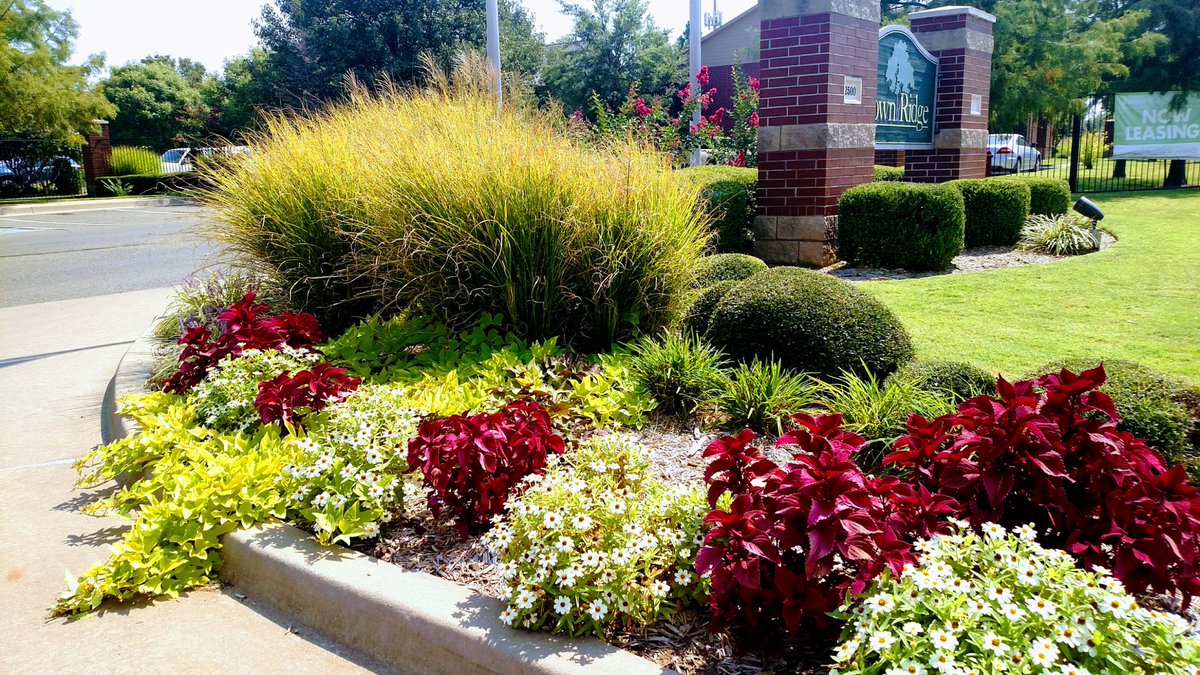 SwiftLawns's tweet image. Wow! Beautiful! @SwiftLawns