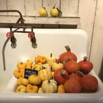 Photo by Giddy Grocer (@GiddyGrocer)