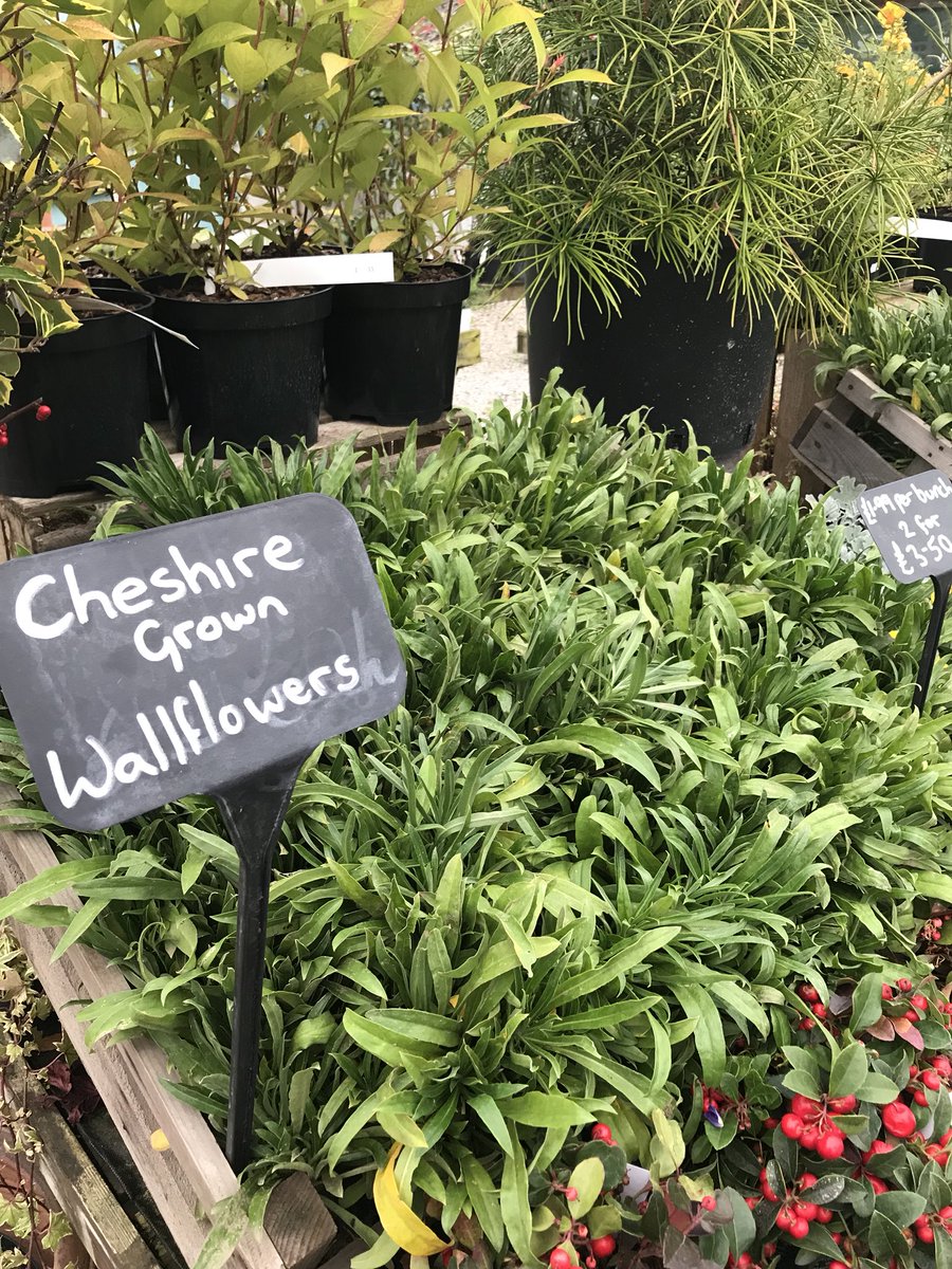 Turners Nursery (TurnersNursery) Twitter