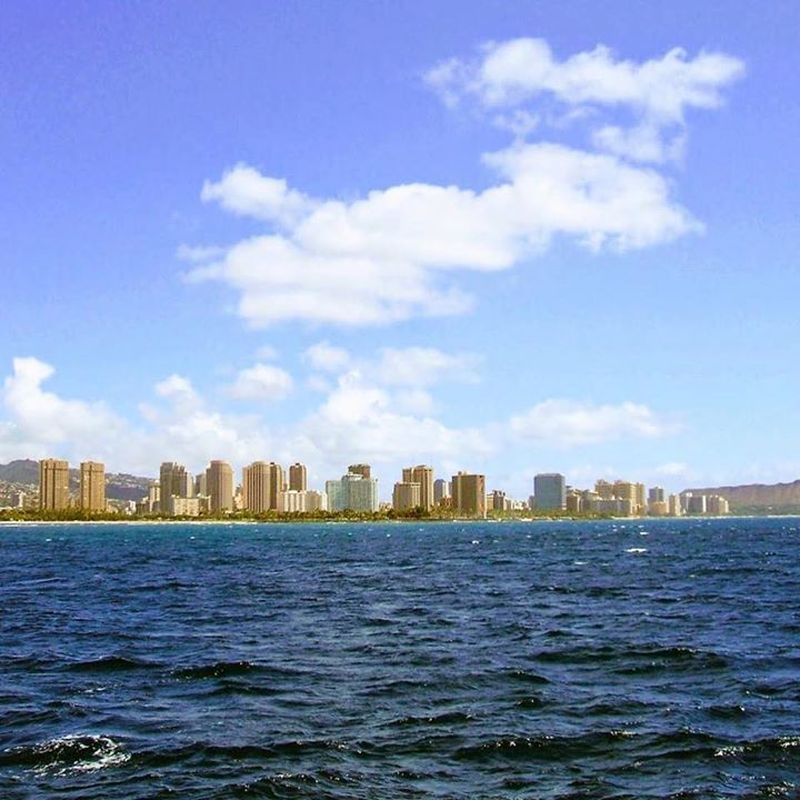 free_hikaru_dom's tweet photo. ハワイと言えば海ですが、反対に、海から見たホノルルやワイキキも素敵です！🌴🌈 この写真は約８年前のもの。 今はカカアコ地区などの再開発が進み、また違った風景になっているんだろうな🏢 #hawaii #waikiki #honol… https://t.co/j4hG7RFxRb https://t.co/o5UDGR2VXr