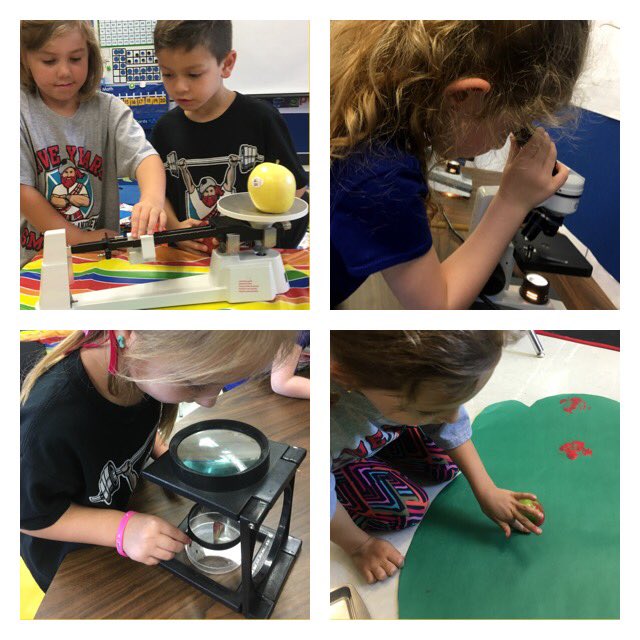 Ponds Ducklings tweet media