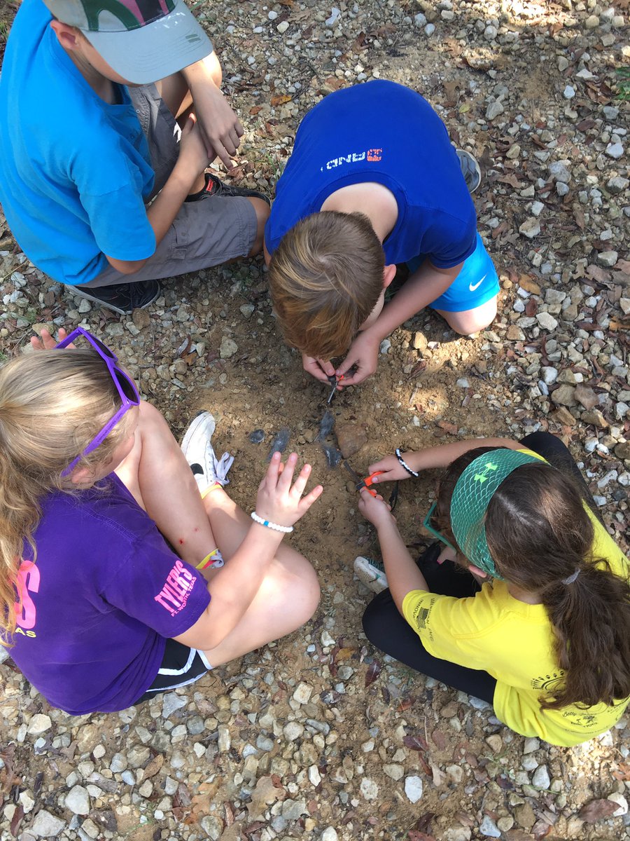 JdecorteDecorte's tweet photo. EME5th grade at camp JOLT! https://t.co/LKwkTf39F5