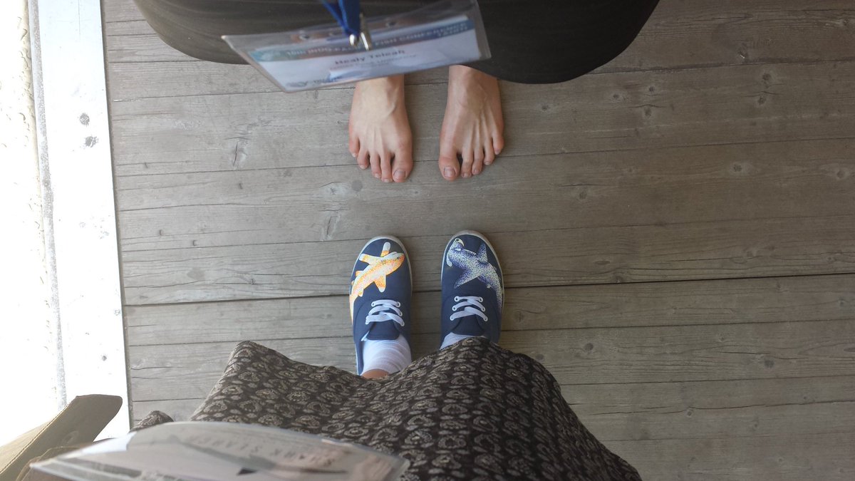 TeleahHealy's tweet photo. #barefoot or #sharkshoe ?? First conference presentation success thanks to barefeet! Time to relax! #ipfc17 #ipfctahiti https://t.co/HrMPml01MK