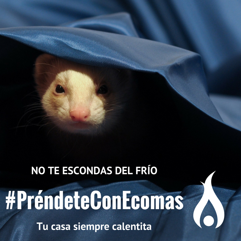 No te arranques del frío, mejor #PréndeteConEcomas, calor limpio y económico