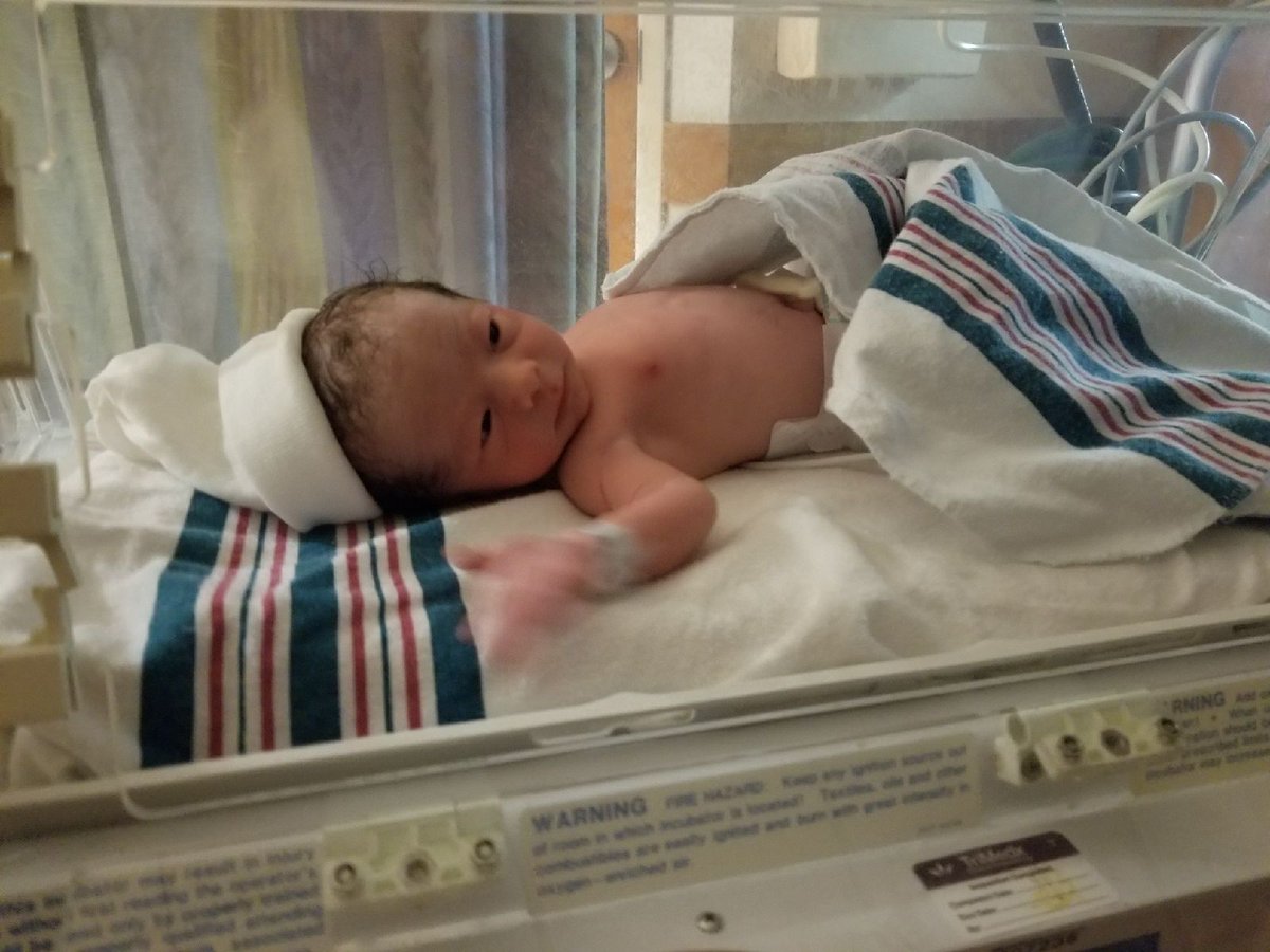 sammiwhite111's tweet photo. Paxton Bishop Aldridge born 10-6-17 4lbs 15 oz 19 inches long #proundparent https://t.co/TSX5PXQ7QF