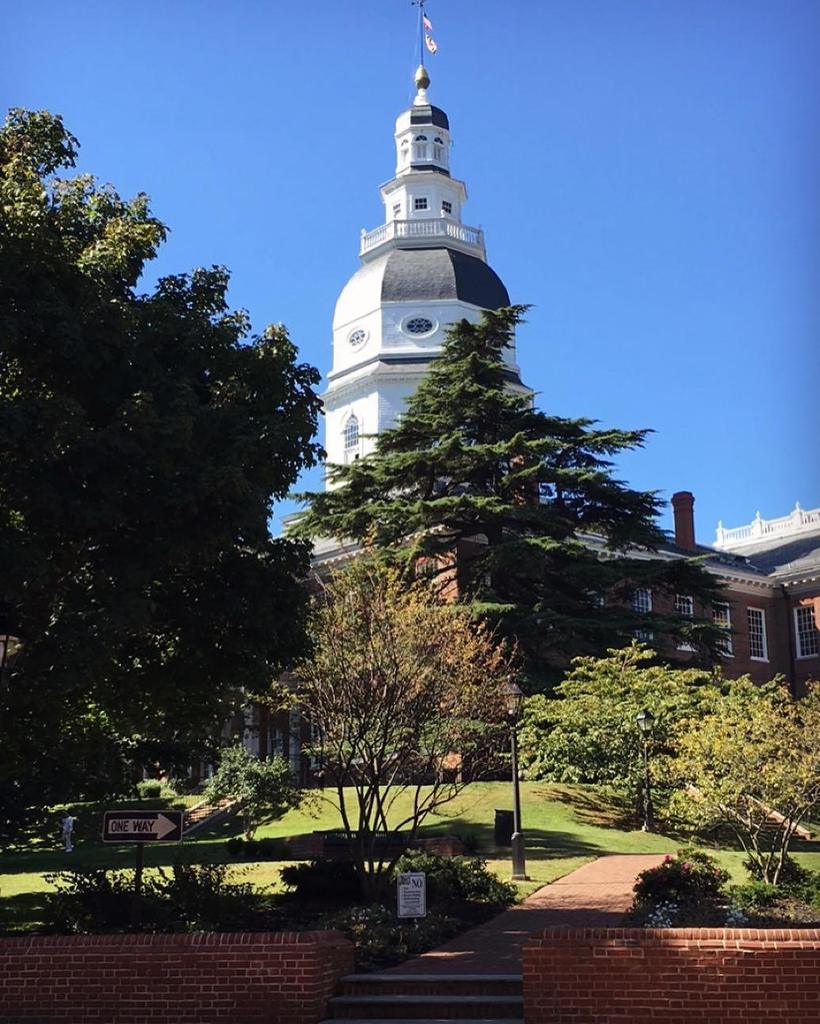 helterskelterx_'s tweet photo. October sky
▫️▫️▫️▫️▫️▫️▫️▫️▫️▫️▫️▫️
#md #marylandstatehouse #mdstatehouse #Statehouse #Annapolis #mdinfocus #Only… https://t.co/Kf3UNqr3D7 https://t.co/JkLT691SFF