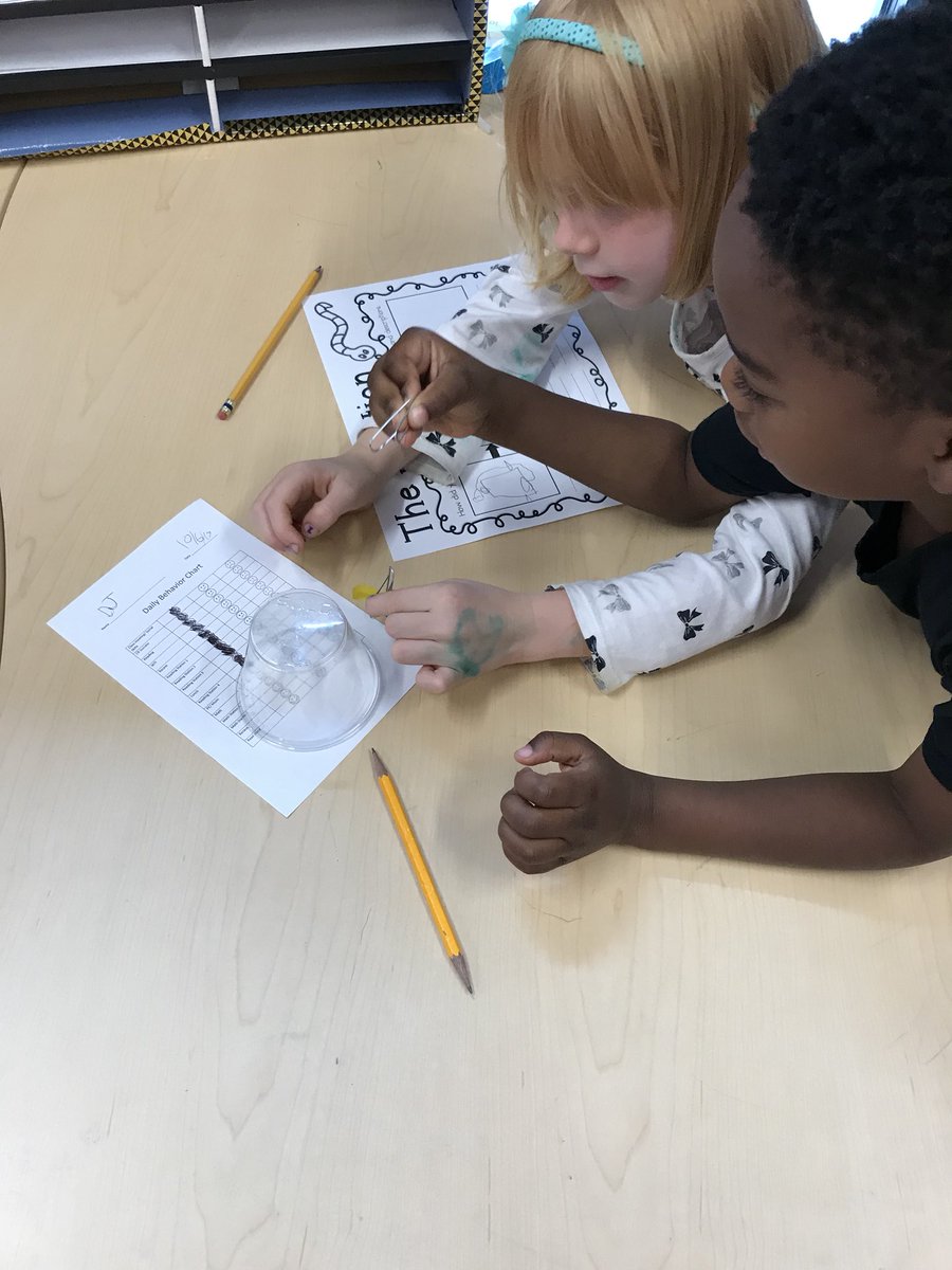 We saved Fred today! Engineering is too much fun!! These kiddos make me so happy 😊😊 #SavingFred  #Jardine501