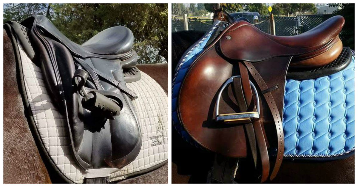 HorsingAroundLA's tweet photo. Kavallerie Gel Half Pad Review &amp; Giveaway! - https://t.co/XI98YkeGeM  @HorsingAroundLA #ad #mykavallerie #kavalleriegelpad #horses #equine https://t.co/9dk5Z8cNWA