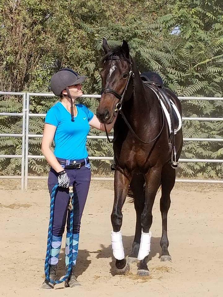HorsingAroundLA's tweet photo. Kavallerie Gel Half Pad Review &amp; Giveaway! - https://t.co/XI98YkeGeM  @HorsingAroundLA #ad #mykavallerie #kavalleriegelpad #horses #equine https://t.co/9dk5Z8cNWA