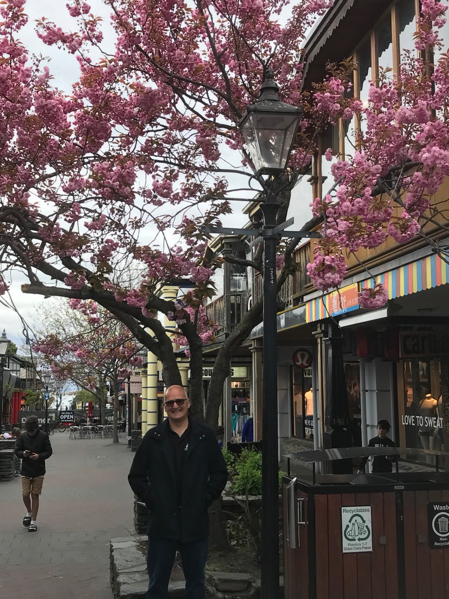 "Below the blossoms and/or next to the bin" version  🥝🦆 <a href="/Pete_Karam/">Peter Karam</a>
