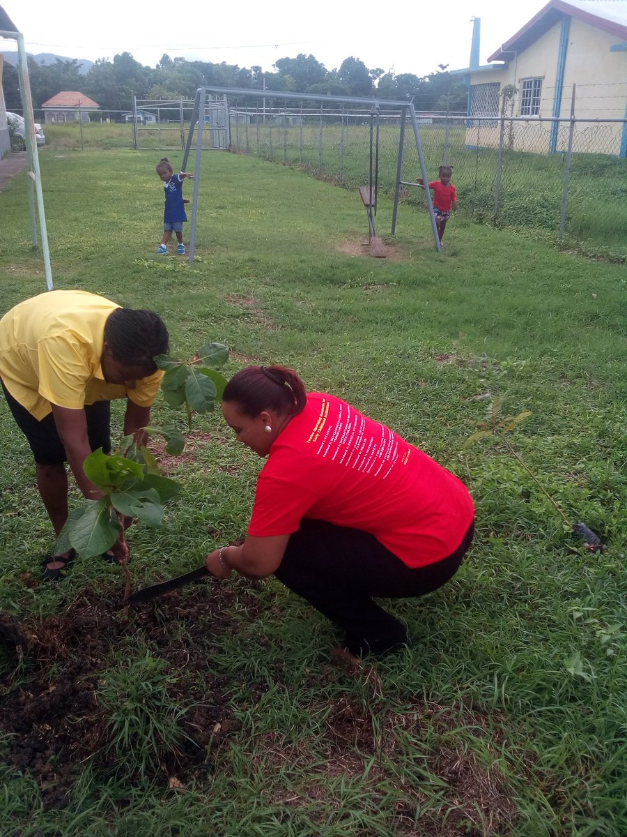 Marjammy's tweet photo. Team @ECCJA #Region4 National Tree Planting Day @Hatfield ECI, Vision Plus & Mt. Eagle. #teamworkmakesthedreamwork #unityiskey
#KeepKidsCool https://t.co/8NcdiI3DXz