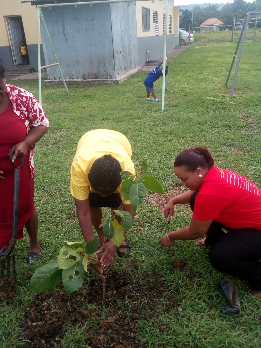 Marjammy's tweet photo. Team @ECCJA #Region4 National Tree Planting Day @Hatfield ECI, Vision Plus & Mt. Eagle. #teamworkmakesthedreamwork #unityiskey
#KeepKidsCool https://t.co/8NcdiI3DXz