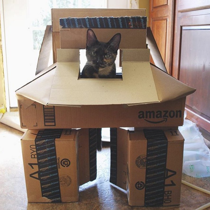 When you get new toys, but end up having more fun with the boxes. Shop the #AlexaPetWeek deals amzn.to/2fOycNz #PrimePet