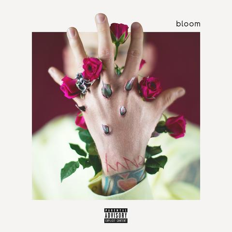 MerisiAlexandra's tweet photo. @machinegunkelly, I love your latest album, Bloom. It was so good to hear your tracks and I'm playing it repeatedly. 👩‍🔧🌻
#MachineGunKelly https://t.co/urTDaPTKkI