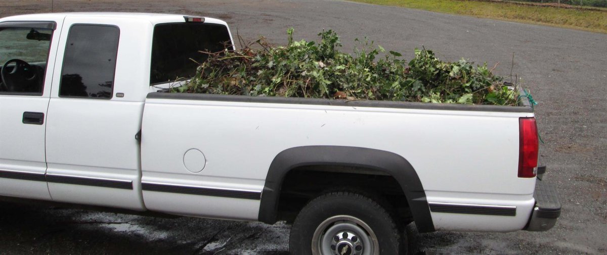 CityofBhamWA's tweet photo. Bellingham residents get 3 free dropoff days for woody debris...  https://t.co/ZHruZKWIwC https://t.co/RbQo1KKdAi