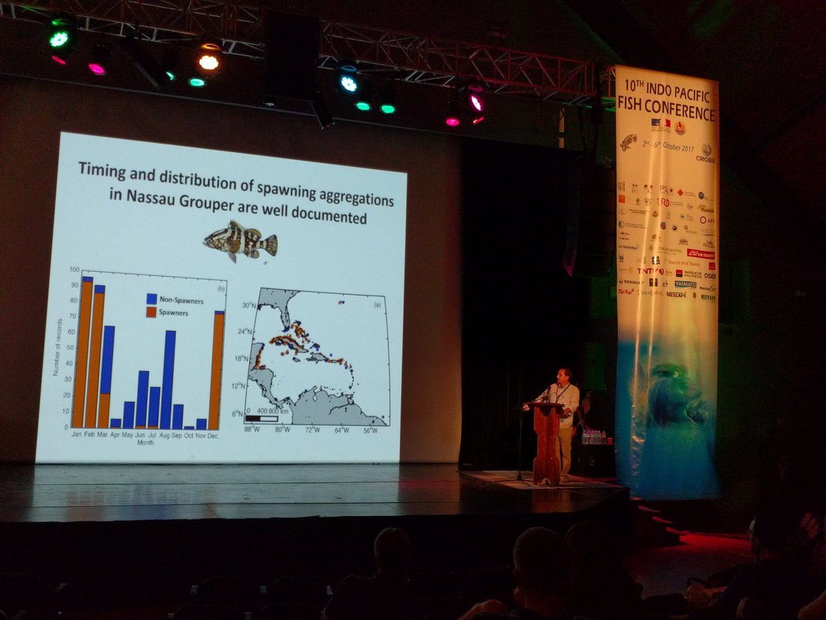 ravasi_lab's tweet photo. Brad Erisman presenting on the effects of #climatechange on spawning aggregations #IPFC17 @utmsi @UTAustin https://t.co/HhSAYIOfxC