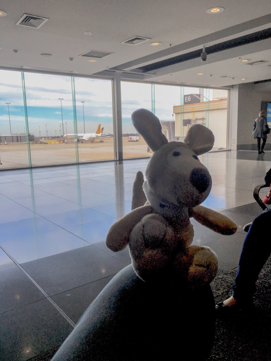 J_R_MUC's tweet photo. #IntrepidSydney on his way back to Sydney after a few days in #Melbourne. @IBAnews #IBASydney #veryecitedfella https://t.co/pmbb3XtPiC