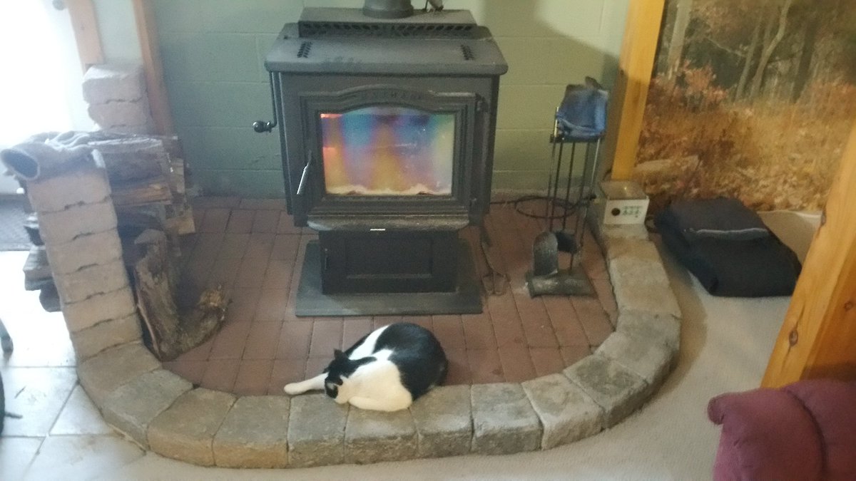 TheRealBrickJ's tweet photo. #nappingcats love bricks too. https://t.co/2mkdpLoVVk