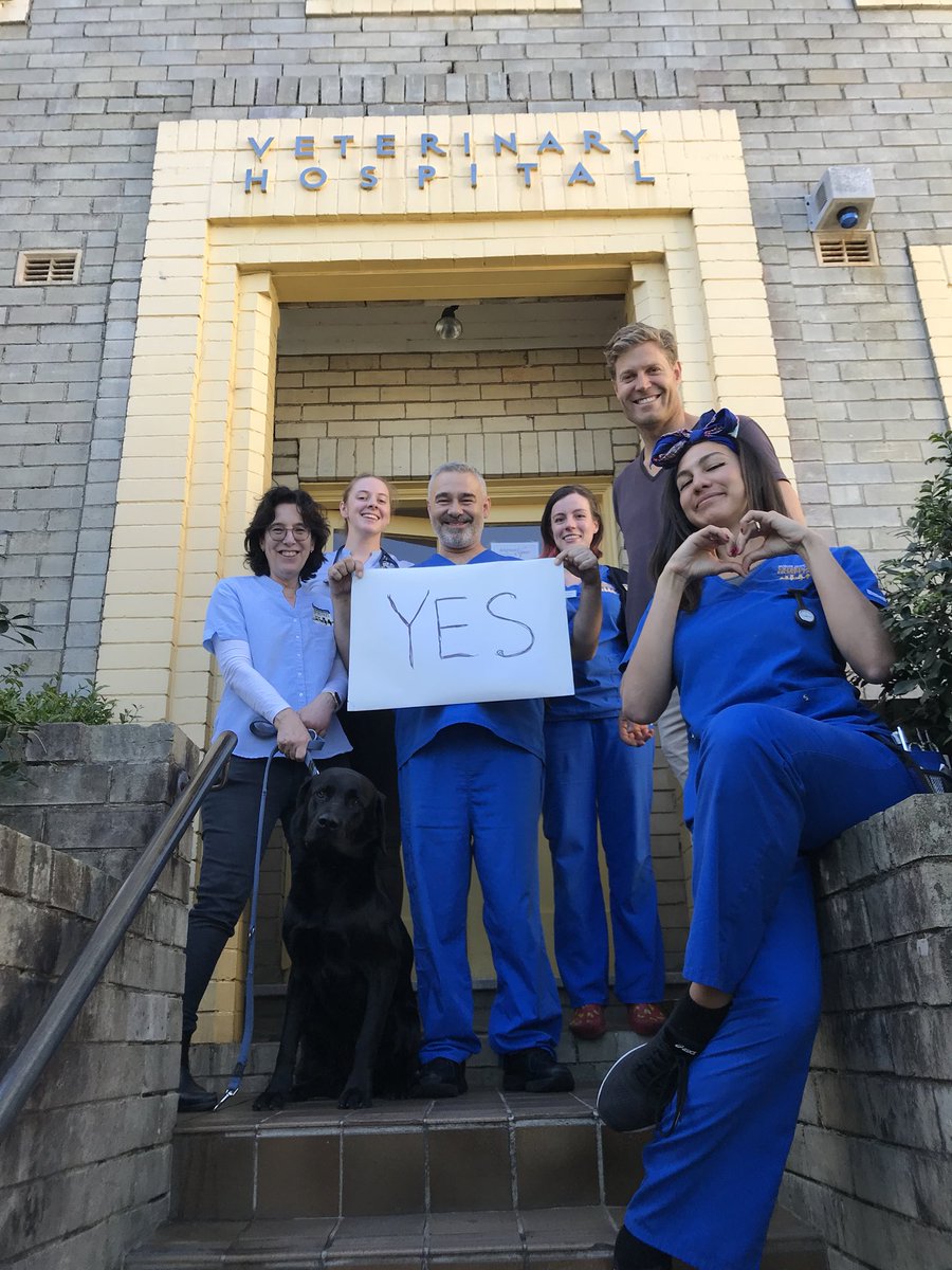 bjvet's tweet photo. Staff of the BJVH remind everyone to post on their survey #yes #LoveIsLove #VoteYes #VoteYes https://t.co/K44DhqlXdh