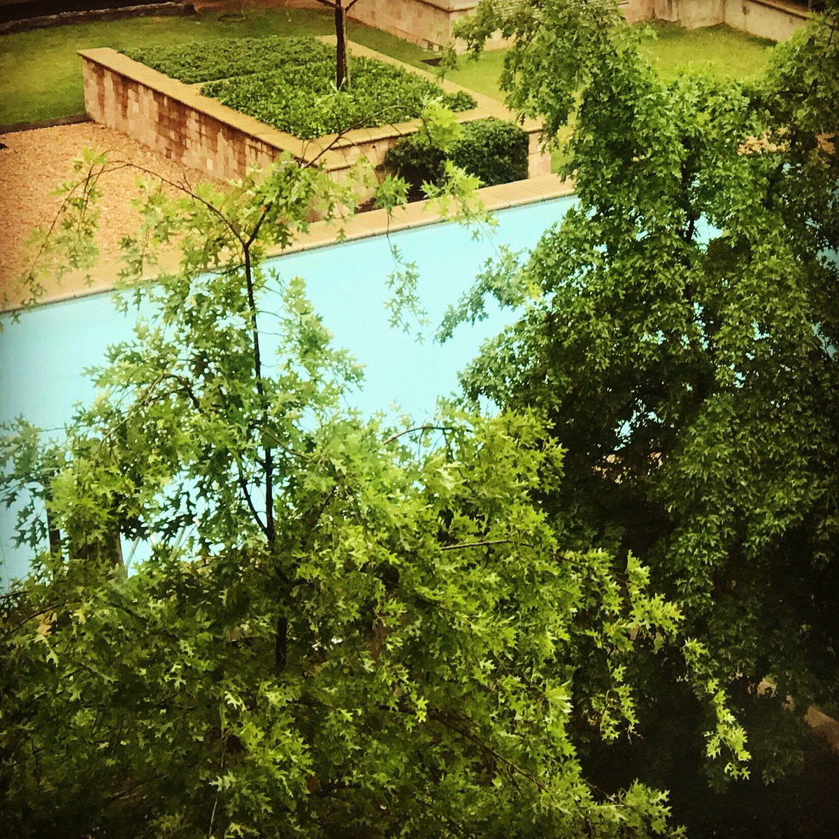 SibaMtongana's tweet photo. Good morning Johannesburg! 💕🌳🍃 #travels #trees #tranquil #joziweekend #deliciousweekend https://t.co/3K7WqXKiTB