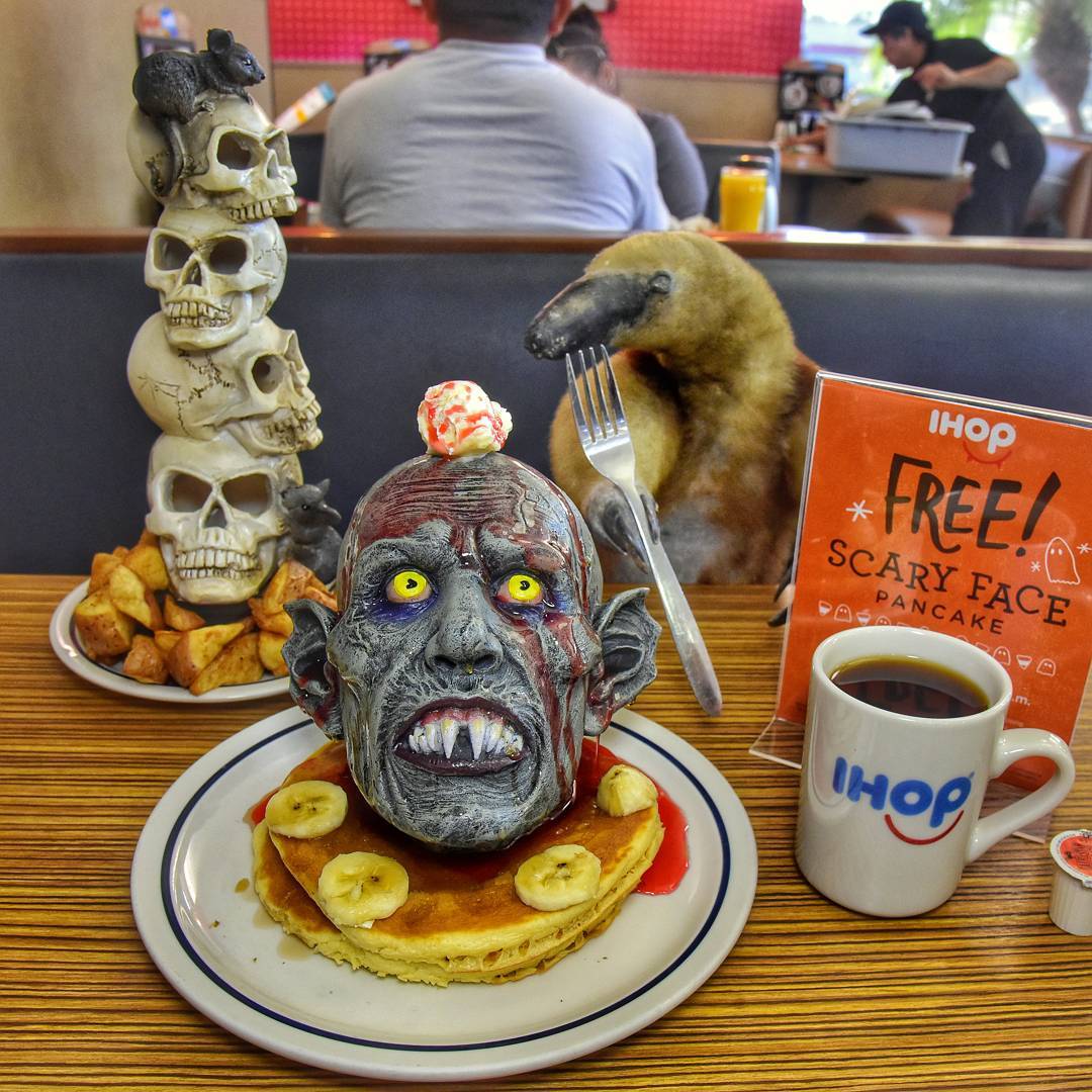 HorrorExplorers's tweet image. Our friend Paul Koundounaris makes a mean breakfast! Check him out on IG @hexenkult #breakfast #Halloween #weekendvibes #LosAngeles