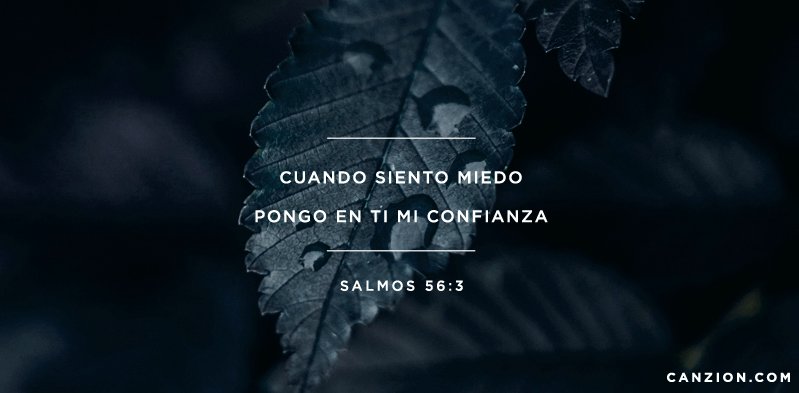 CanZion tweet picture