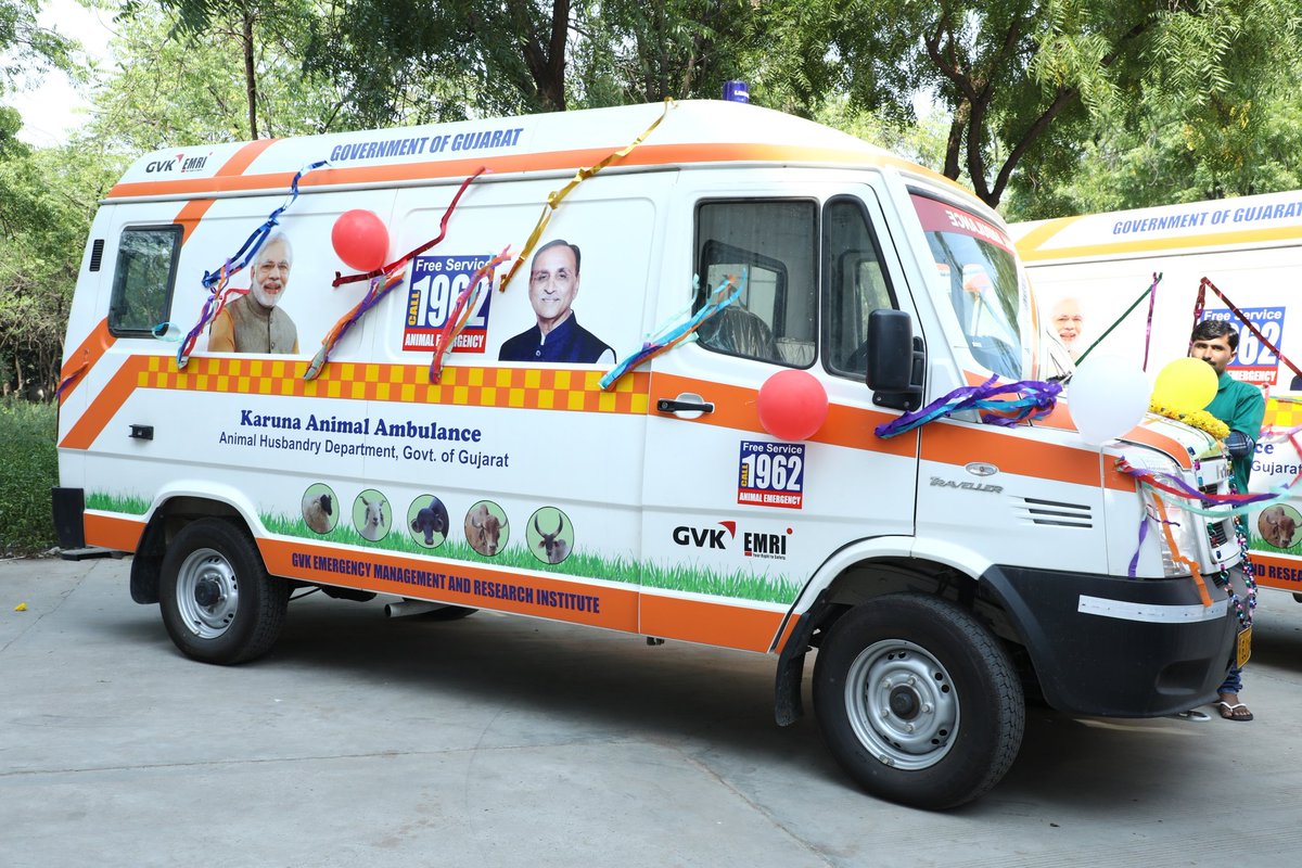 1962 Karuna Animal Helpline treats 604 animals in 25 days | DeshGujarat 1962 Karuna Animal Helpline treats 604 animals in 25 days | DeshGujarat