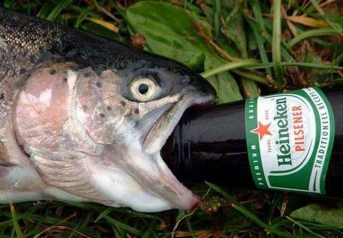 BaitedUp's tweet photo. It’s the weekend! 😂 #friday #tgif #weekend #holiday #fish #drunk #fishing #surf #california #trout #bass #beach #drinks #party #relax #chill https://t.co/EsUA0vL3oN