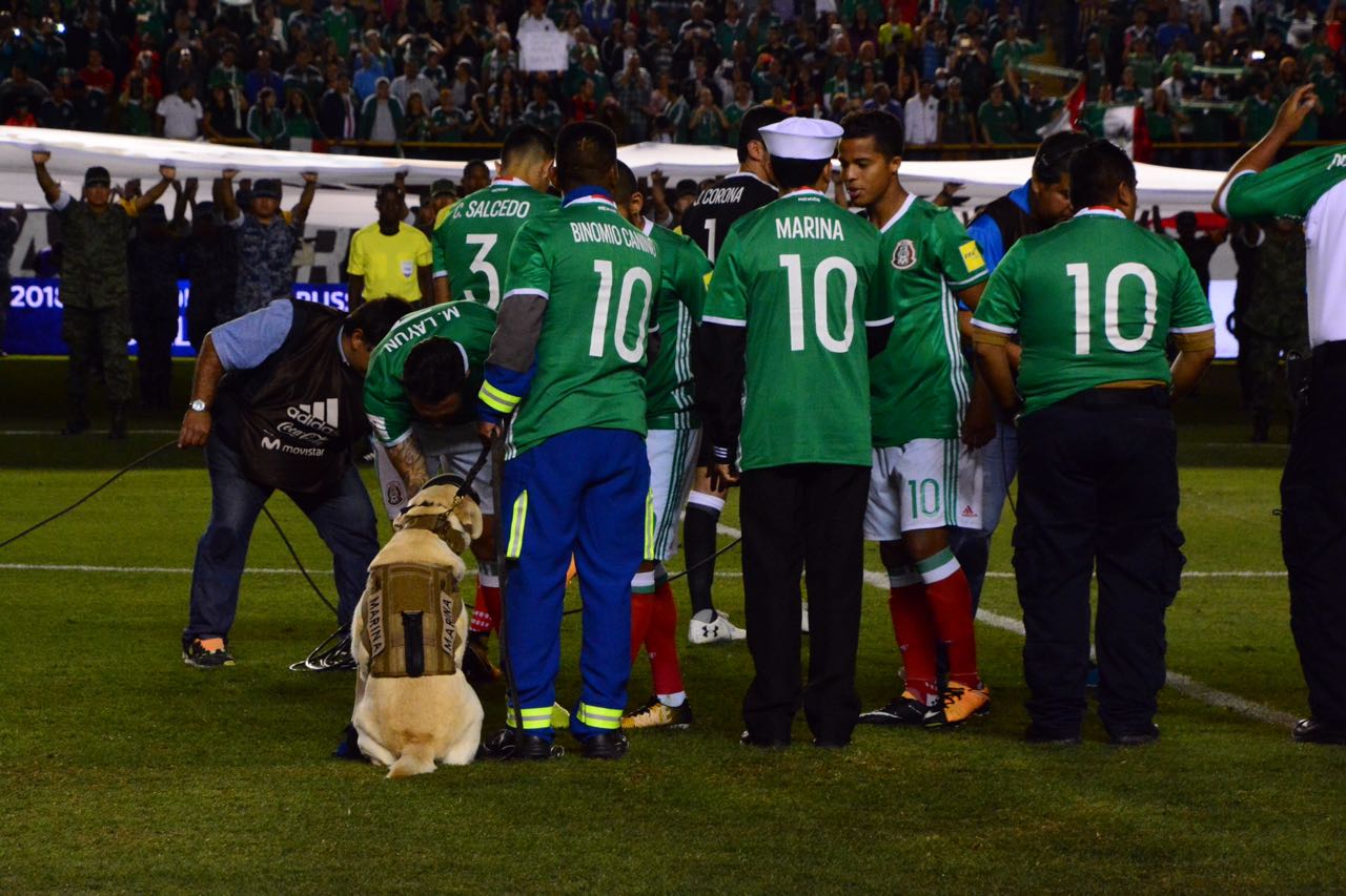 Semar México On Twitter Miseleccionmx Saludan A Binomios Canófilos Semar México On Twitter Miseleccionmx Saludan A Binomios Canófilos