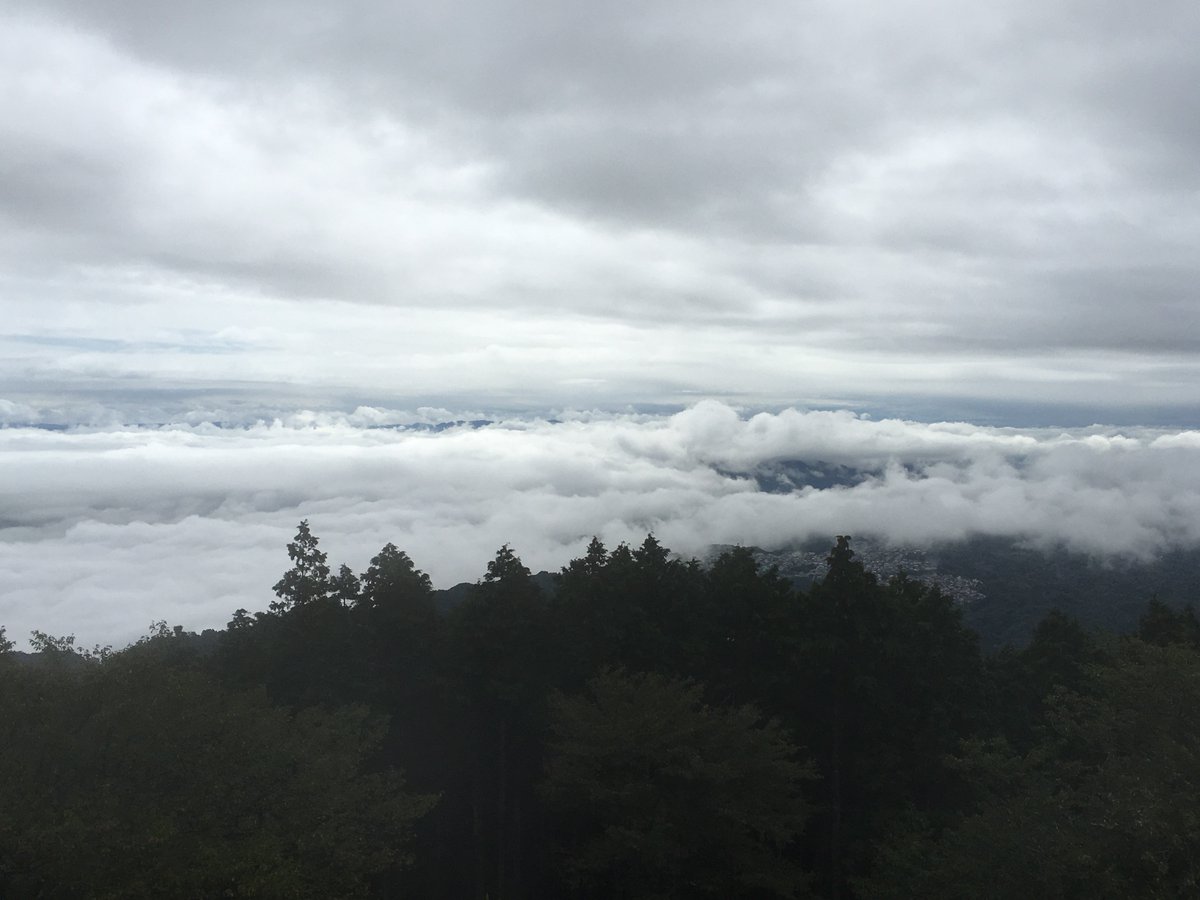 ガーデンミュージアム比叡 京都 花 比叡山 今朝までの雨も上がり びわ湖 には 雲海 が見られます 天気も午後から回復するとの予報です 皆様のご来園お待ちいたしております ガーデンミュージアム比叡 比叡山 庭園