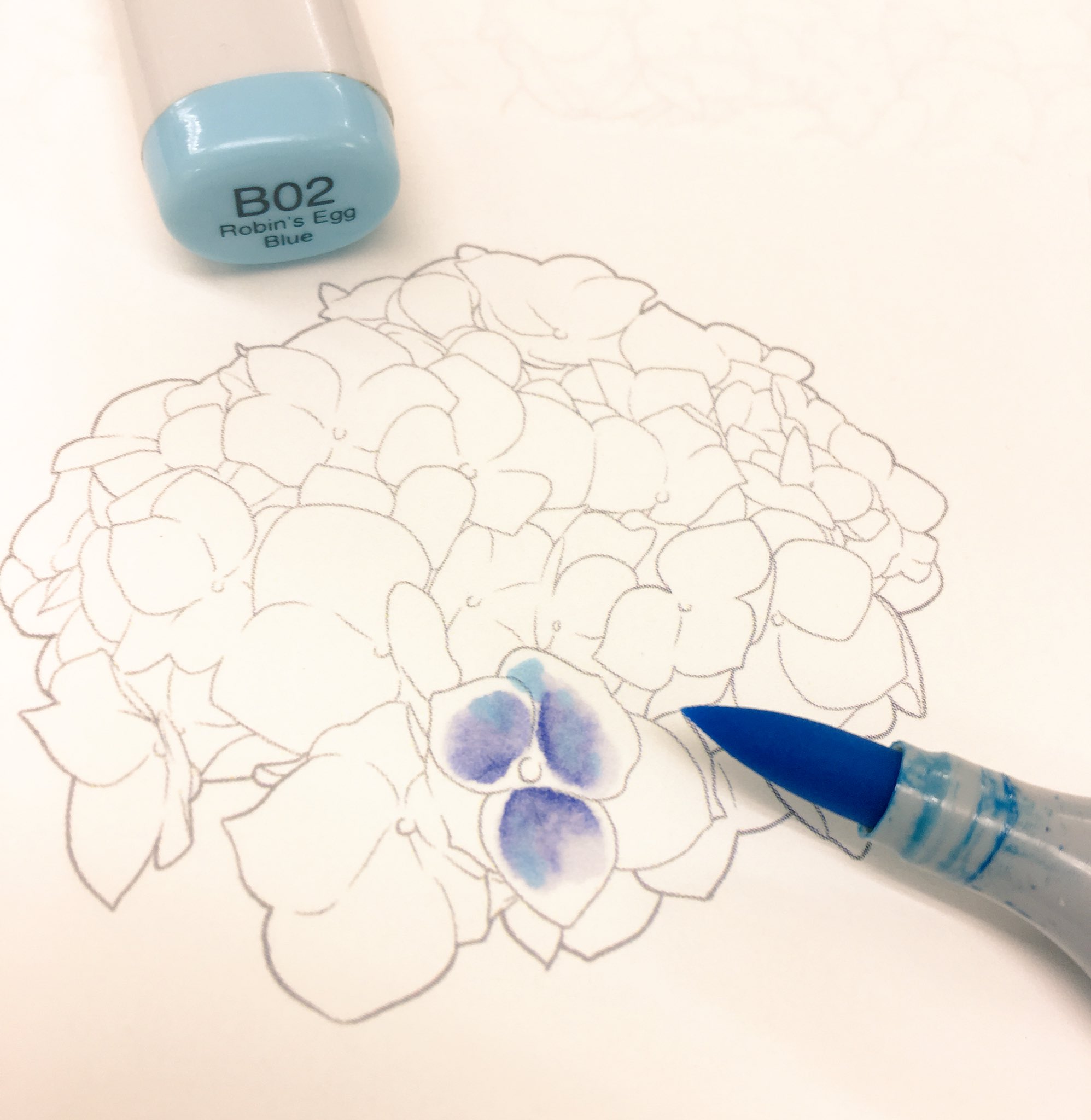 コピック公式 Copic Official 紫陽花の塗り方 ちょっともう季節外れなのですが紹介します B66で花びらの中心をラフに塗る B60で外側に向かってb66を伸ばしていく B02をちょこっと塗って再びb60で伸ばす をくり返すことで 水彩っぽさもある紫陽花が