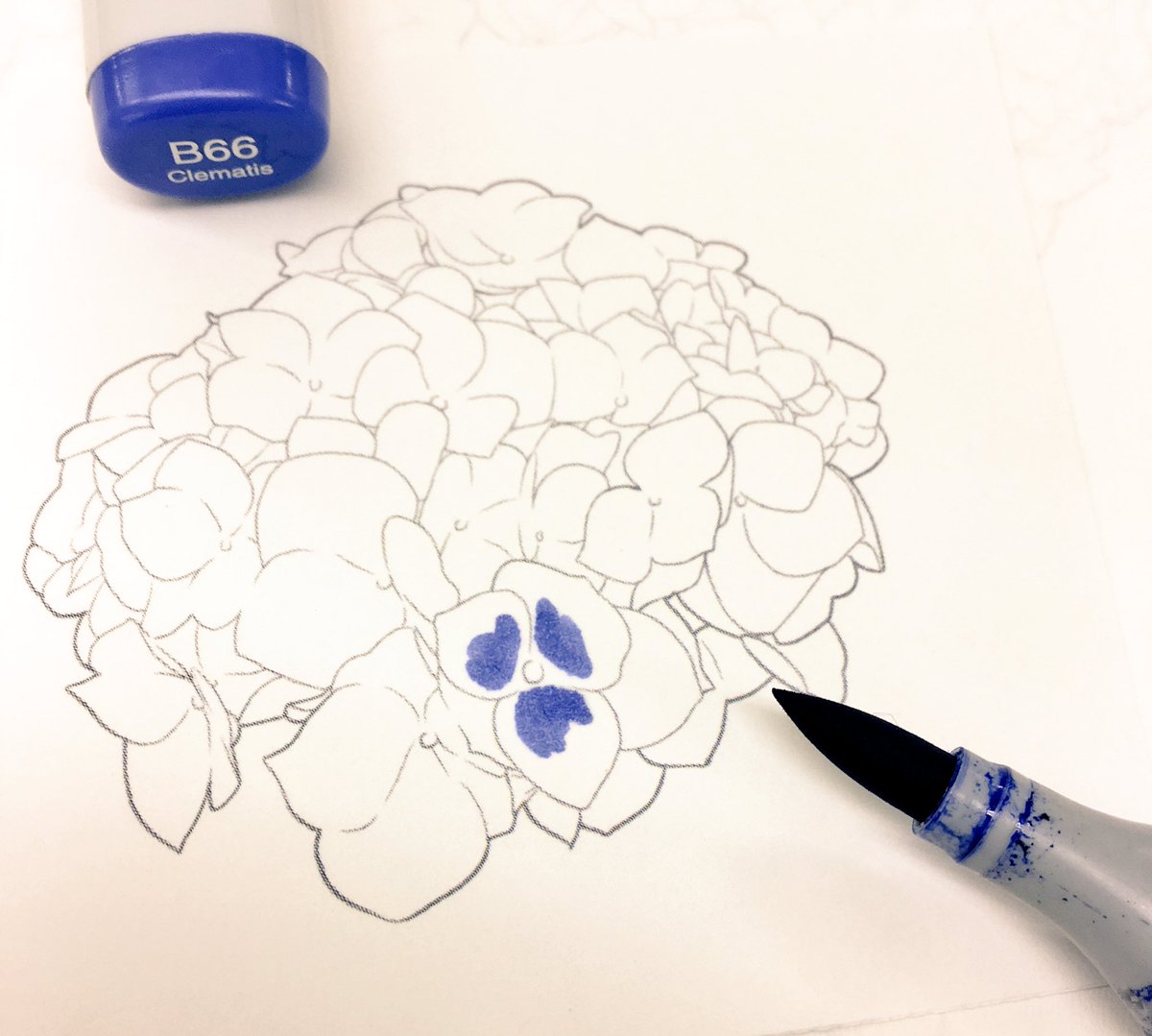 コピック公式 Copic Official 紫陽花の塗り方 ちょっともう季節外れなのですが紹介します B66で花びらの中心をラフに塗る B60で外側に向かってb66を伸ばしていく B02をちょこっと塗って再びb60で伸ばす をくり返すことで 水彩っぽさもある紫陽花が