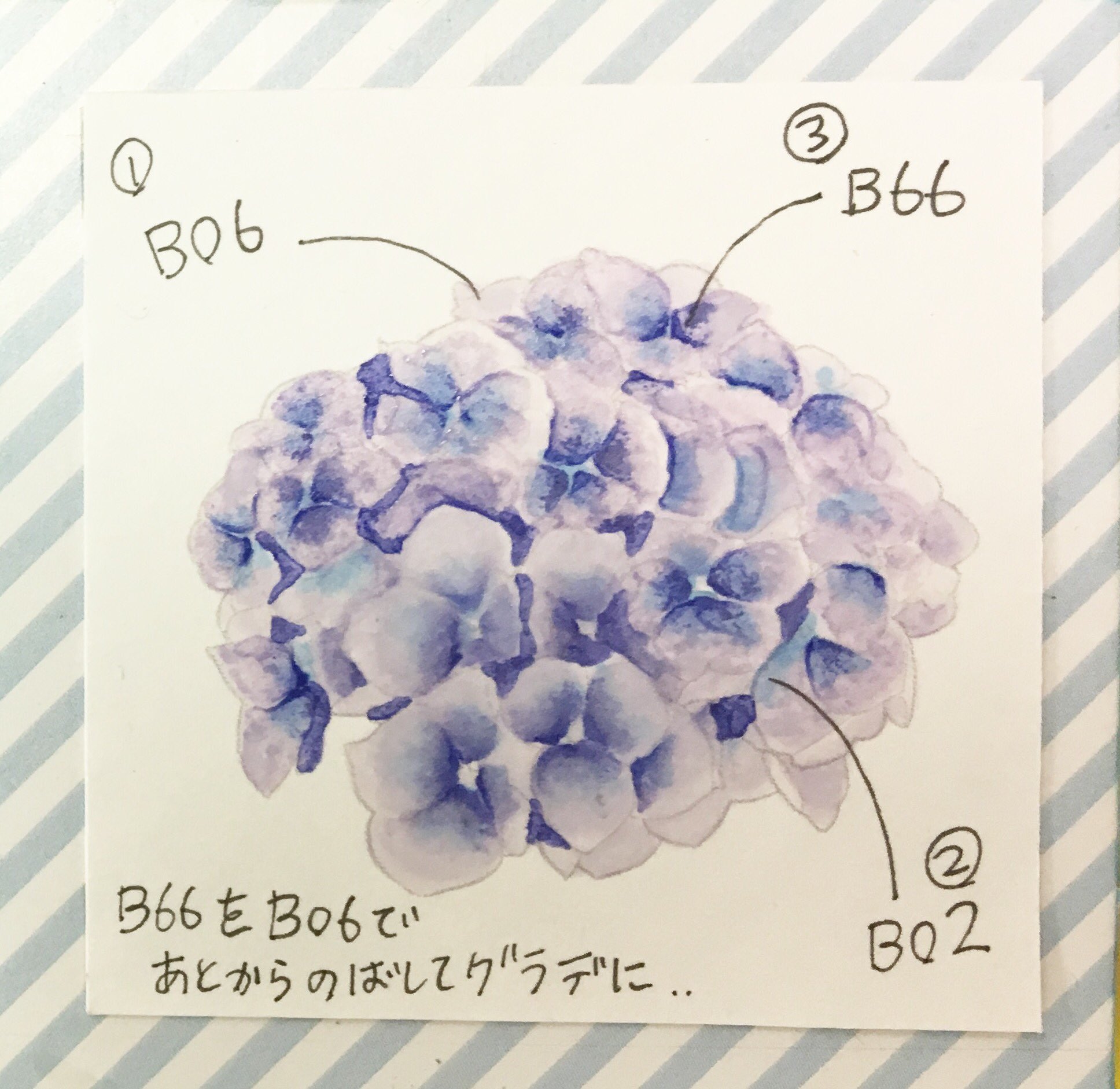 Uzivatel コピック公式 Copic Official Na Twitteru 紫陽花の塗り方 ちょっともう季節外れなのですが紹介します B66で花びらの中心をラフに塗る B60で外側に向かってb66を伸ばしていく B02をちょこっと塗って再びb60で伸ばす をくり返すことで 水彩っぽさも