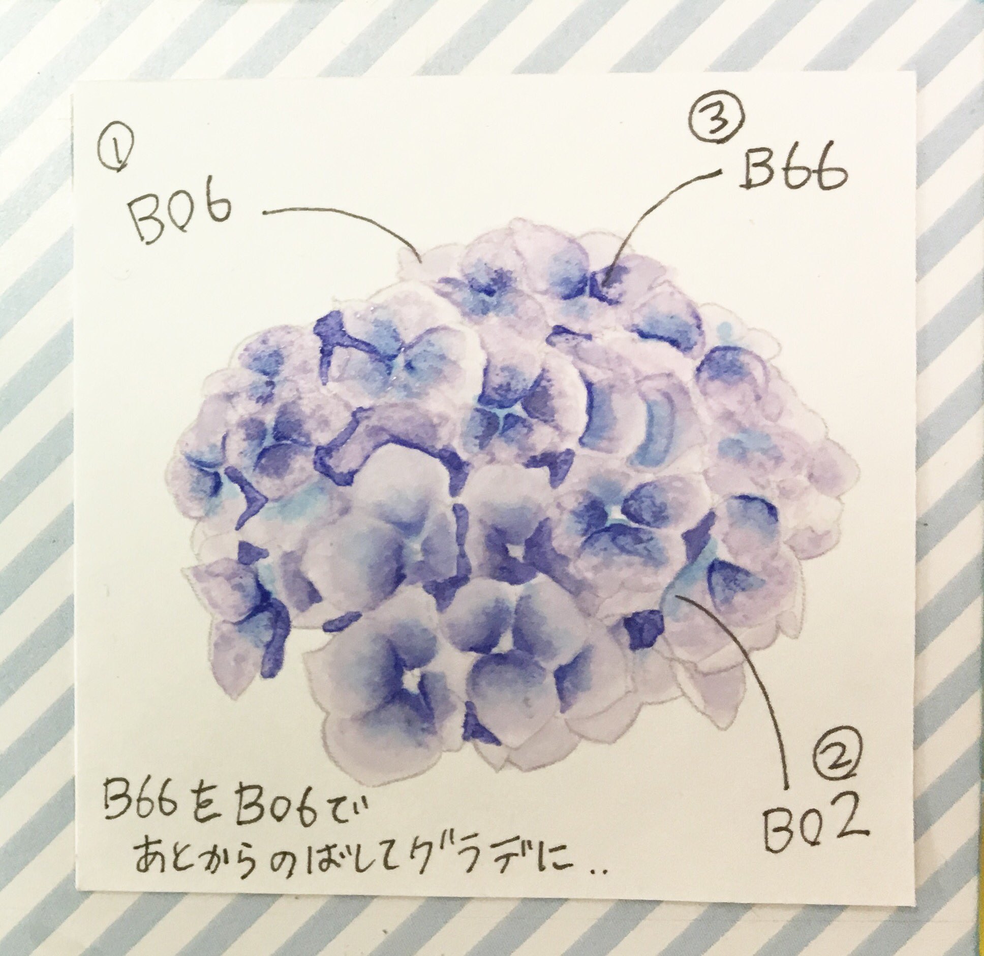 コピック公式 Copic Official 紫陽花の塗り方 ちょっともう季節外れなのですが紹介します B66で花びらの中心をラフに塗る B60で外側に向かってb66を伸ばしていく B02をちょこっと塗って再びb60で伸ばす をくり返すことで 水彩っぽさもある紫陽花が