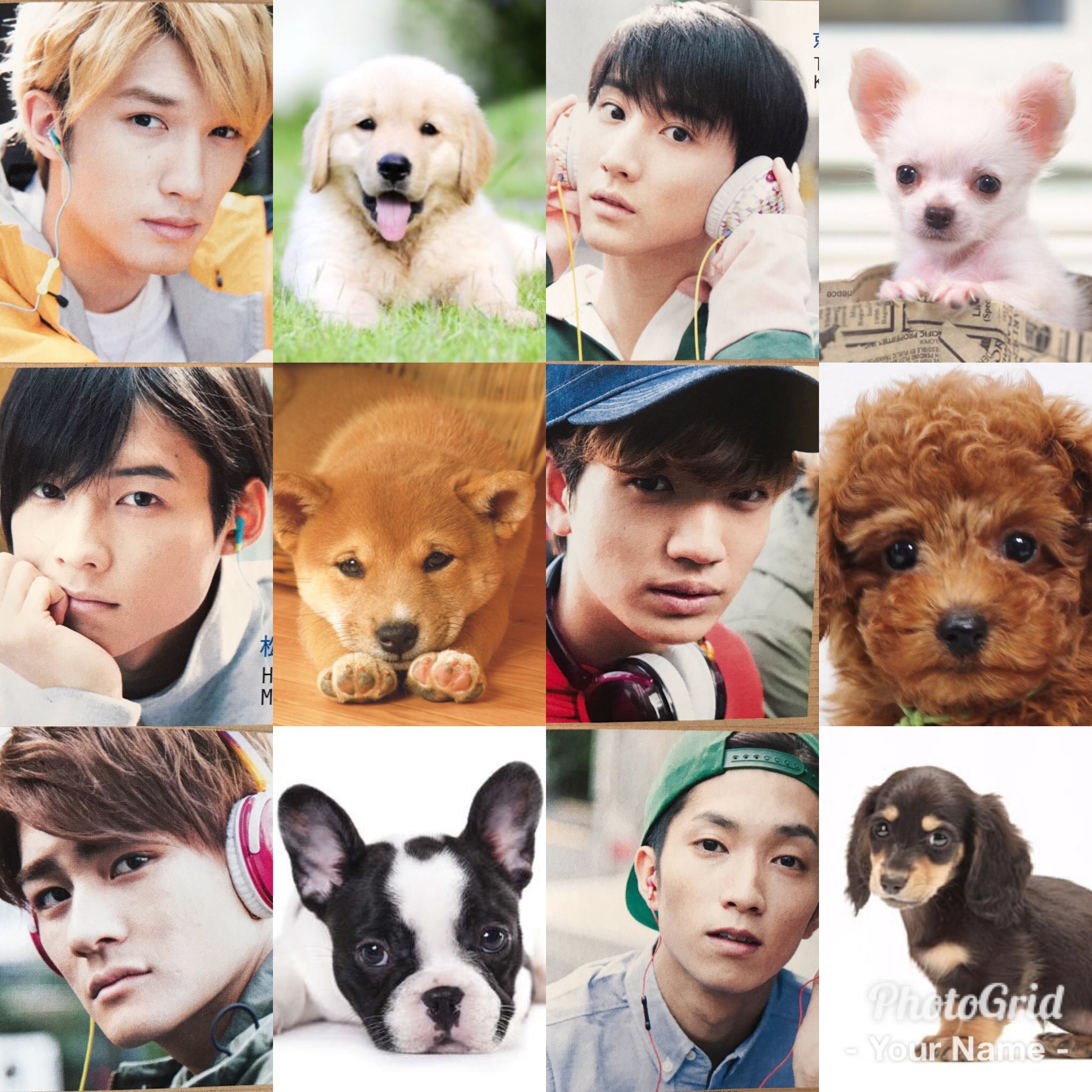 ℳ S Twitterren Sixtonesを犬に例えると 私のイメージです ℳ S Twitterren Sixtonesを犬に例えると 私のイメージです